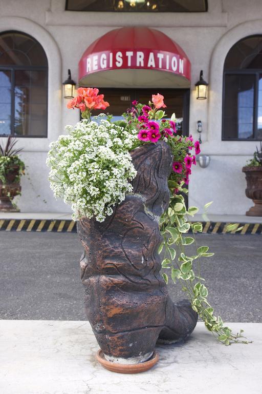 Gateway Inn And Suites Салайда Екстер'єр фото